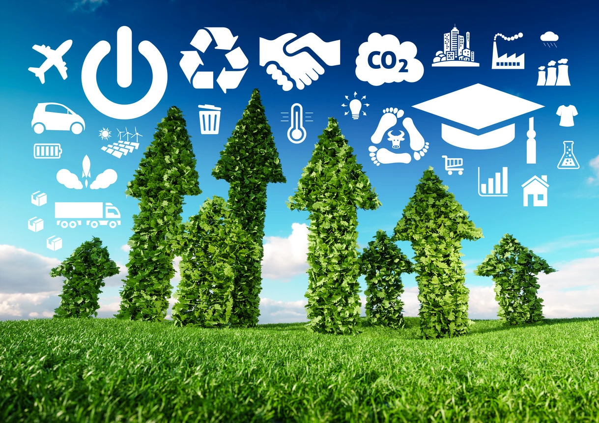 Sustainable Practices a New Core Business Value for Forwarders.
